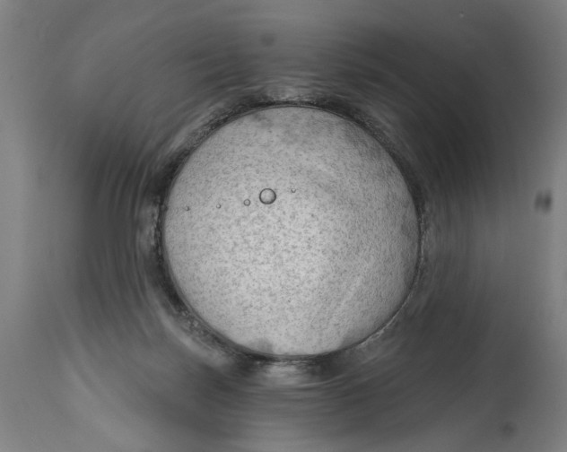 X0000114630171200911101244