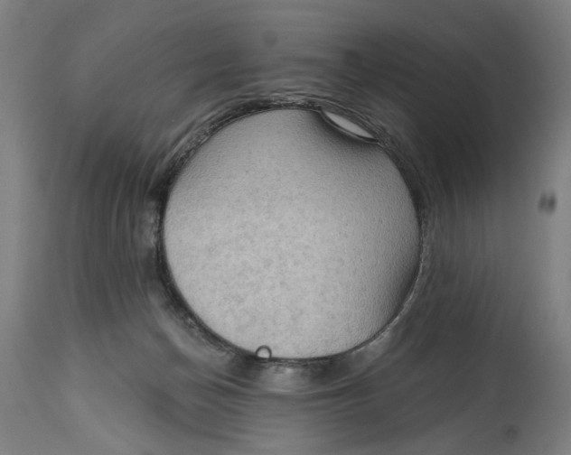 X0000114630174200911101244