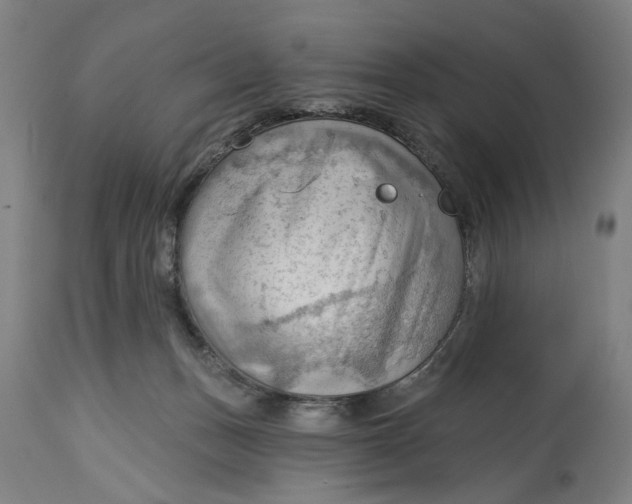 X0000114630175200911101244