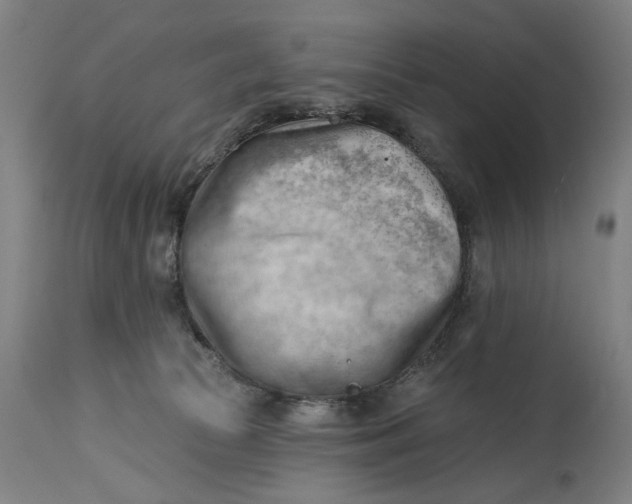 X0000114630177200911101244