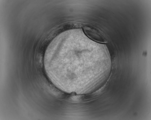 X0000114630178200911101244