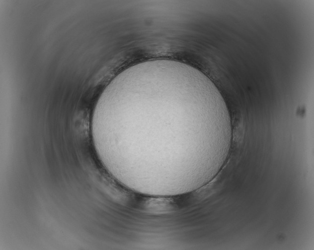 X0000114630179200911101244