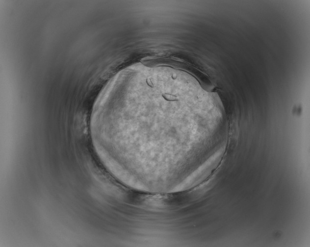 X0000114630182200911101244