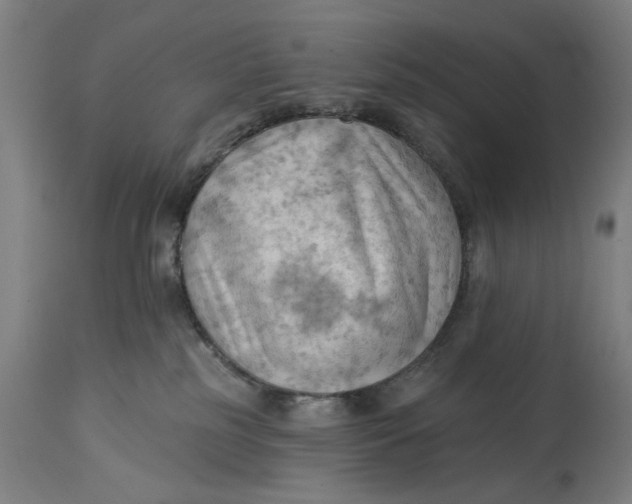 X0000114630185200911101244