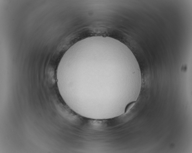 X0000114630187200911101244