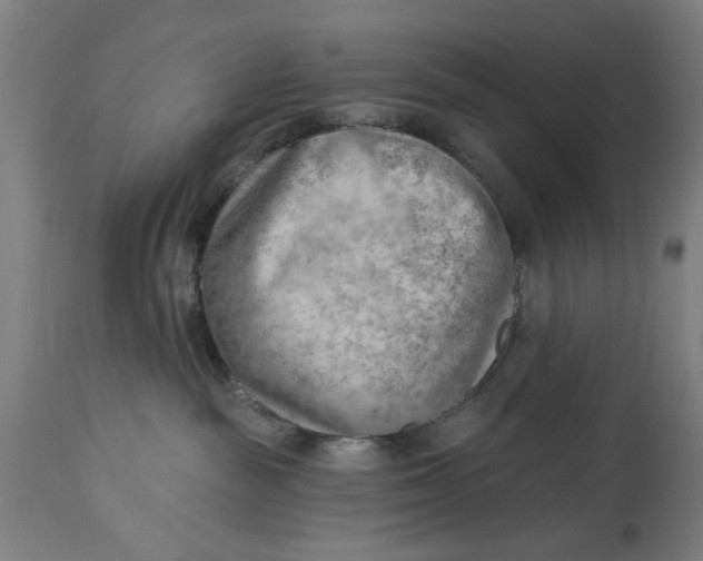 X0000114630189200911101244