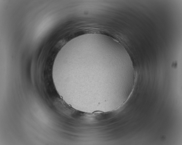 X0000114630190200911101244