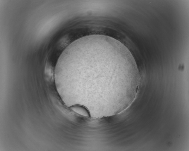 X0000114630191200911101244