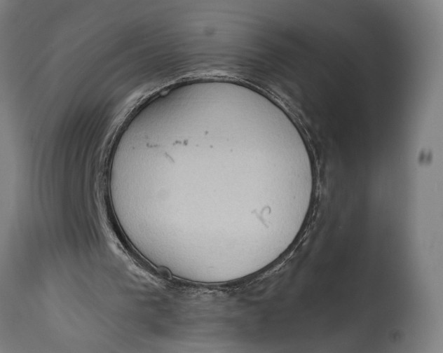 X0000114630193200911101244