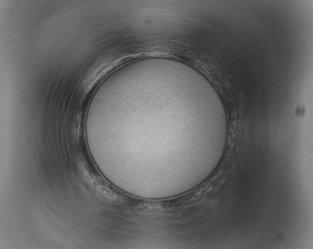 X0000114630194200911101244