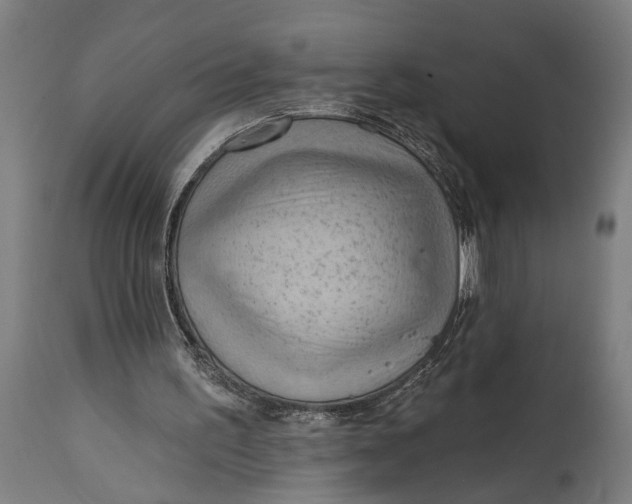 X0000114630195200911101244