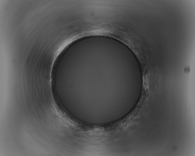 X0000114630196200911101244