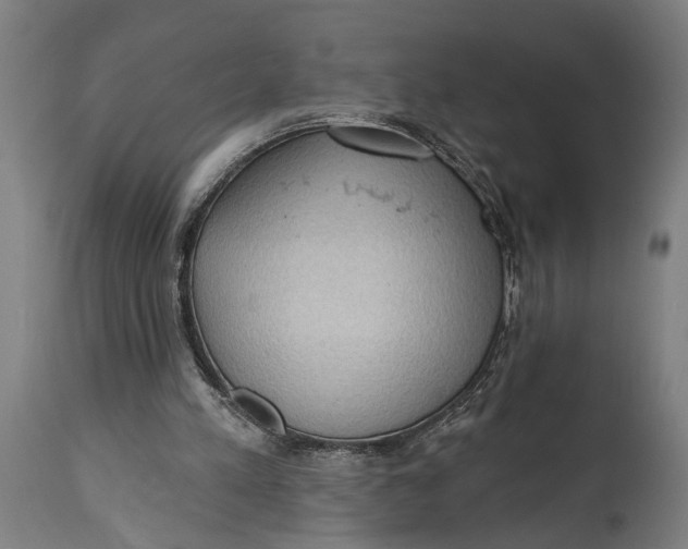 X0000114630197200911101244