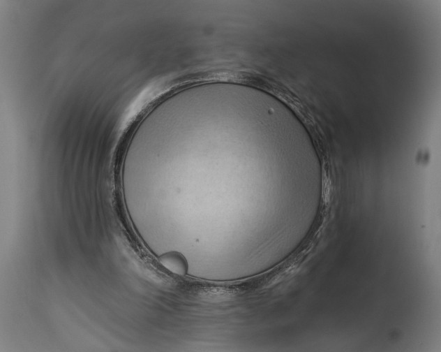 X0000114630198200911101244