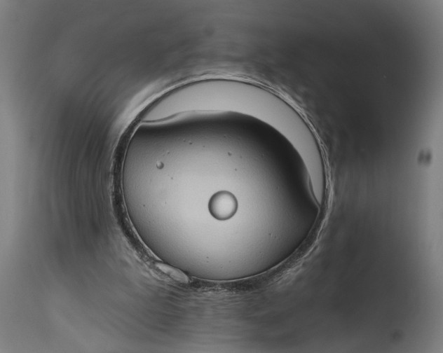 X0000114630199200911101244