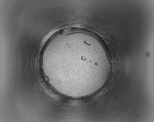 X0000114630200200911101244