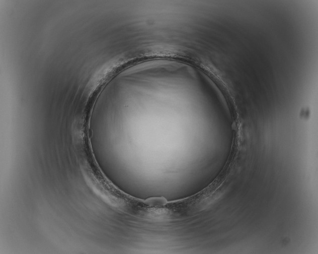 X0000114630203200911101244