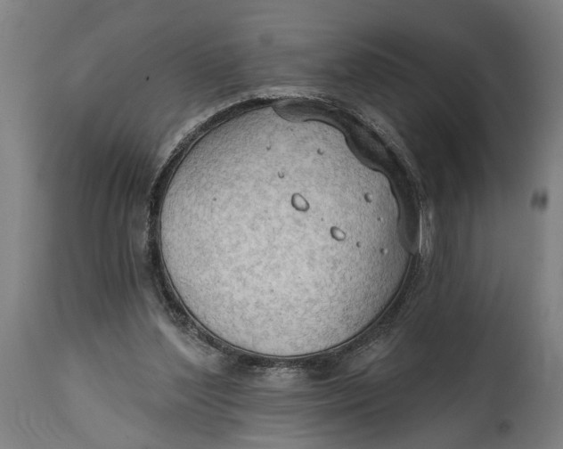 X0000114630204200911101244