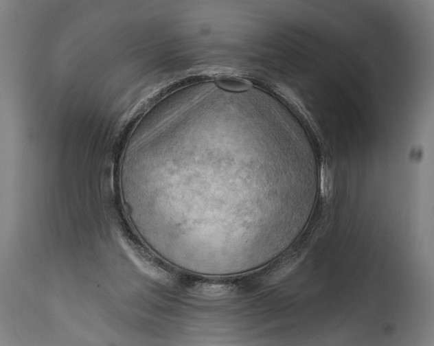 X0000114630205200911101244