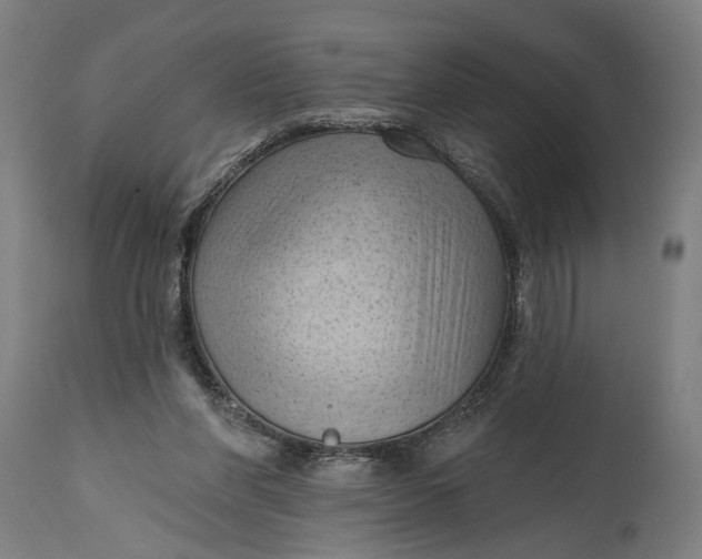 X0000114630206200911101244