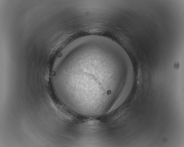 X0000114630210200911101244