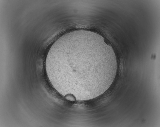 X0000114630211200911101244