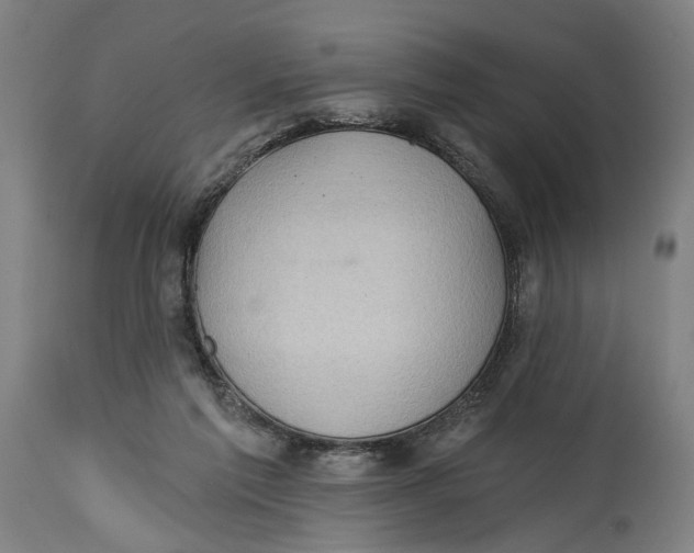 X0000114630213200911101244