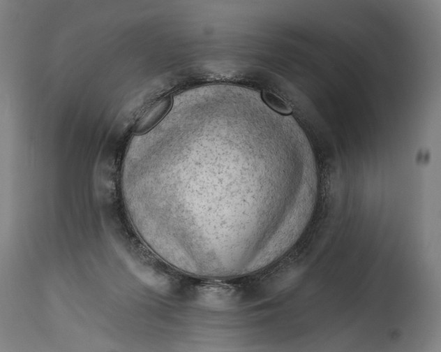 X0000114630215200911101244