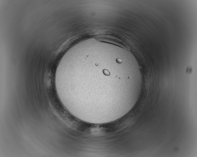 X0000114630216200911101244