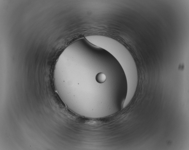 X0000114630221200911101243