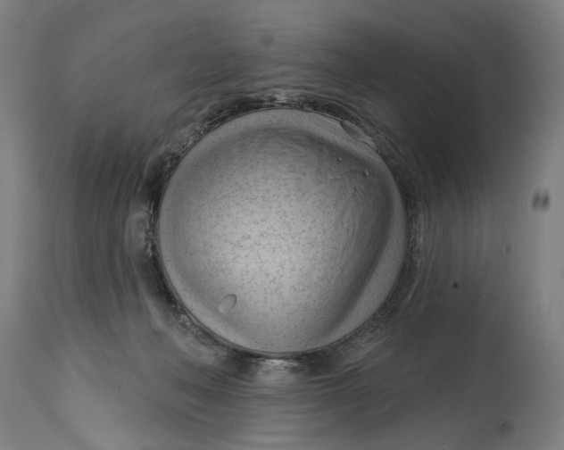 X0000114630222200911101243