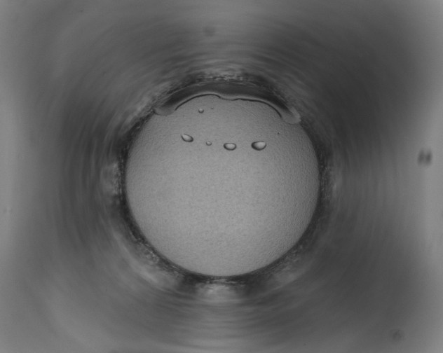 X0000114630224200911101243