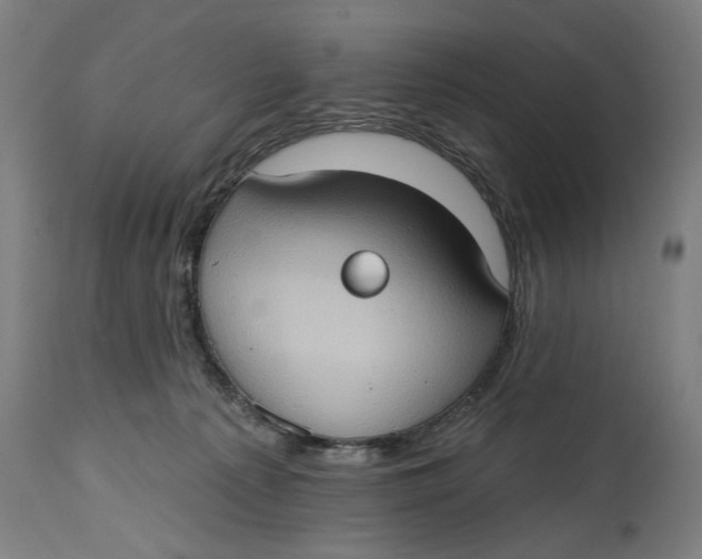 X0000114630225200911101243