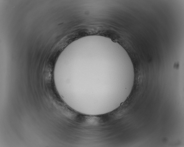 X0000114630226200911101243