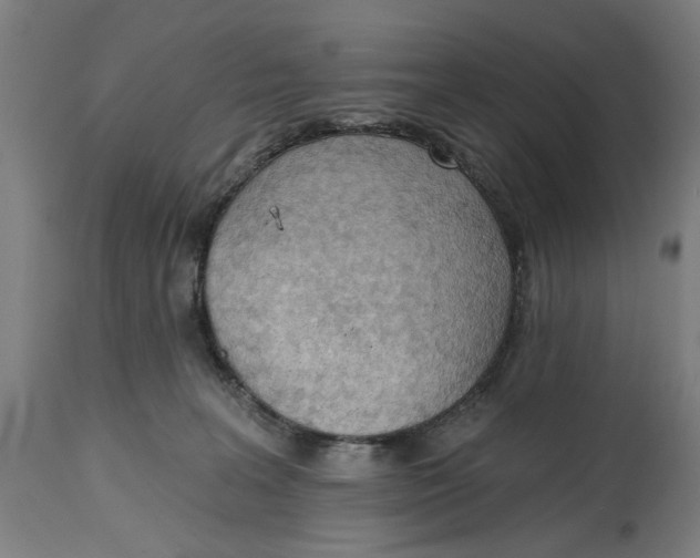 X0000114630227200911101243