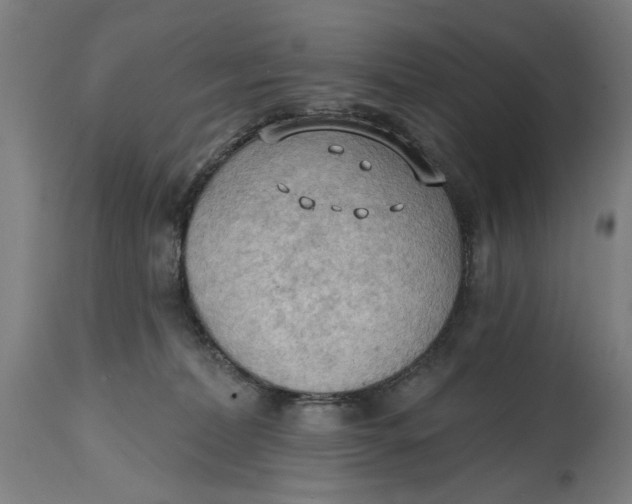 X0000114630228200911101243