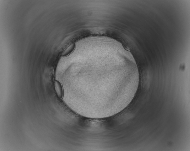 X0000114630229200911101243