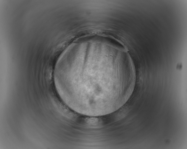 X0000114630230200911101243