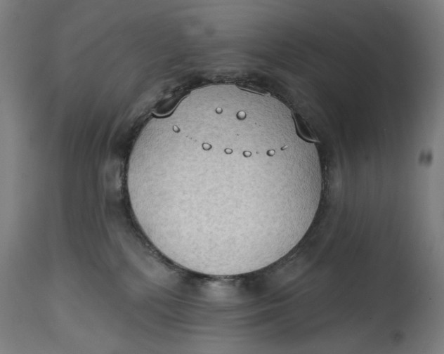 X0000114630232200911101243