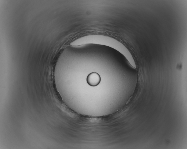 X0000114630233200911101243