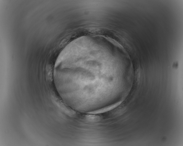 X0000114630234200911101243