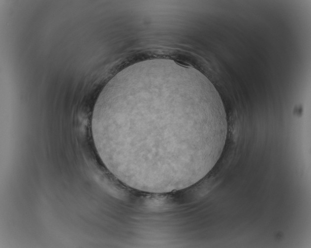 X0000114630235200911101243