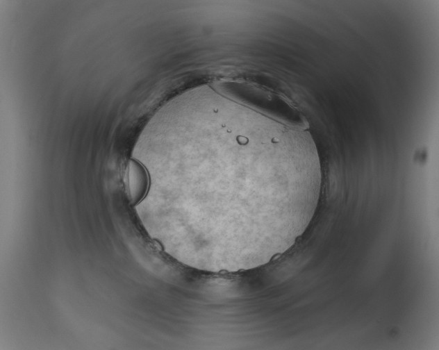 X0000114630236200911101243