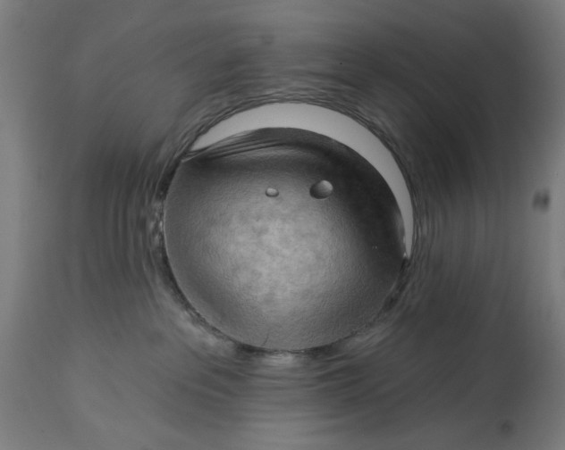 X0000114630237200911101243