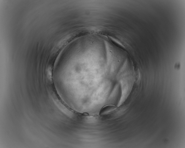 X0000114630238200911101243