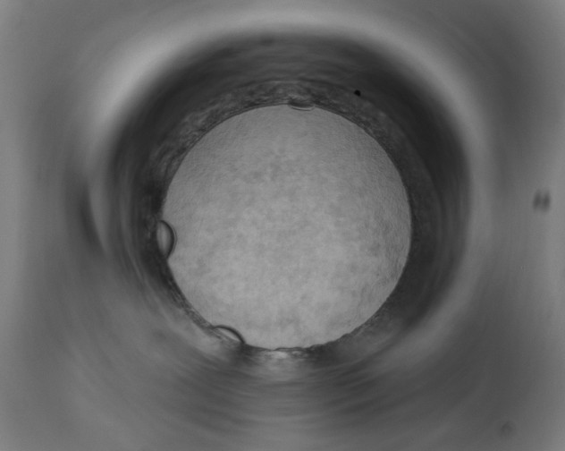 X0000114630239200911101243