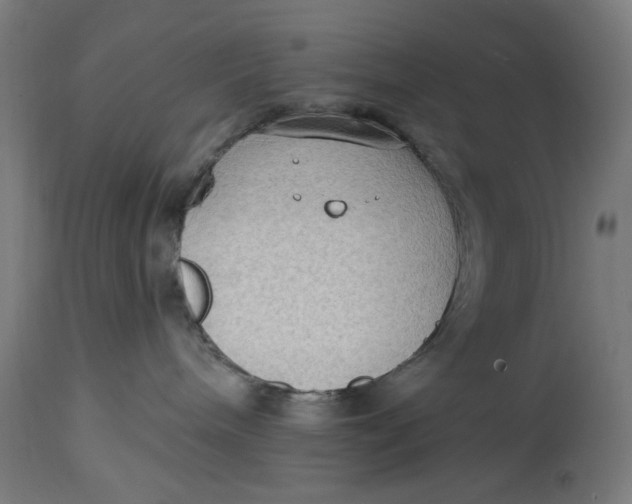 X0000114630240200911101243