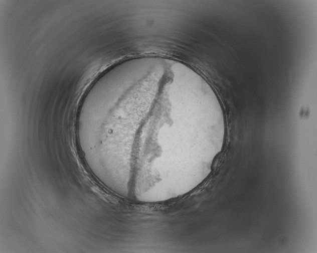 X0000114630241200911101242