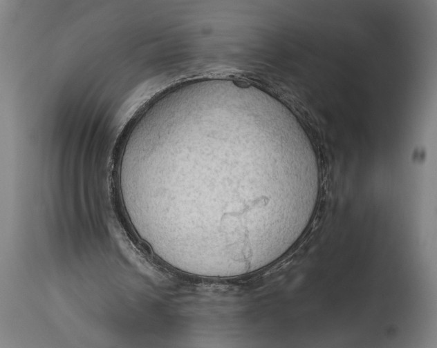 X0000114630242200911101242