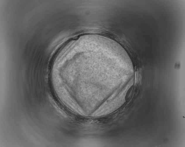 X0000114630243200911101242